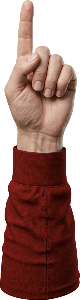Braço Votando 13